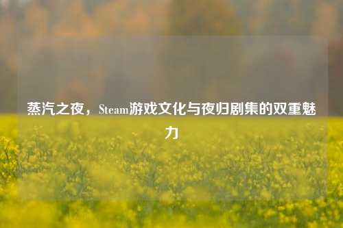 蒸汽之夜,Steam游戏文化与夜归剧集的双重魅力