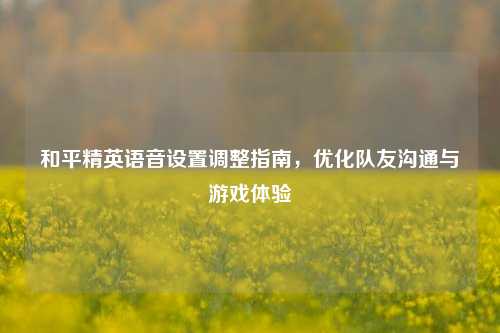 和平精英语音设置调整指南,优化队友沟通与游戏体验