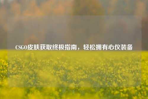 CSGO皮肤获取终极指南，轻松拥有心仪装备
