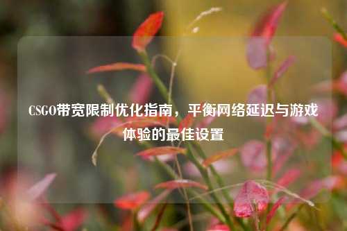 CSGO带宽限制优化指南，平衡网络延迟与游戏体验的最佳设置