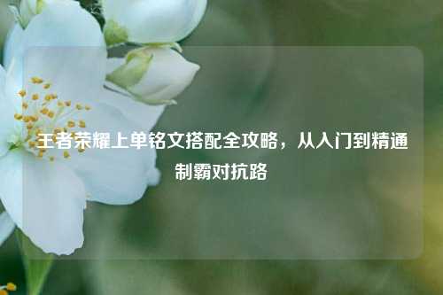 王者荣耀上单铭文搭配全攻略，从入门到精通制霸对抗路