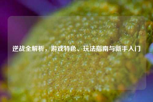 逆战全解析，游戏特色、玩法指南与新手入门