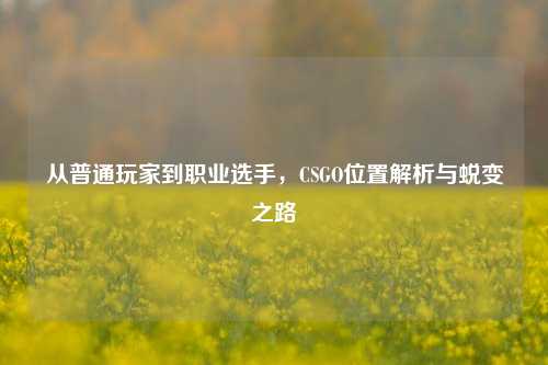 从普通玩家到职业选手，CSGO位置解析与蜕变之路