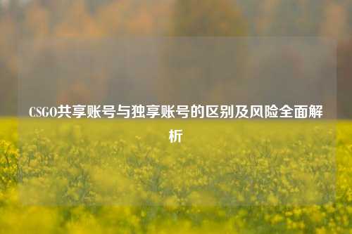 CSGO共享账号与独享账号的区别及风险全面解析