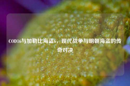 COD16与加勒比海盗6,现代战争与明朝海盗的传奇对决
