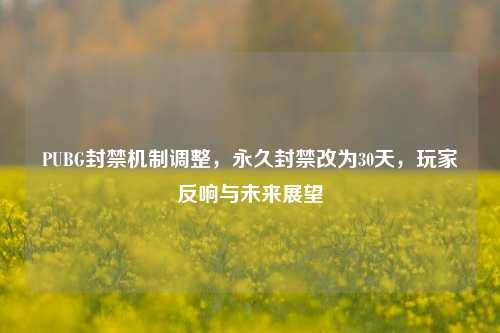 PUBG封禁机制调整,永久封禁改为30天,玩家反响与未来展望