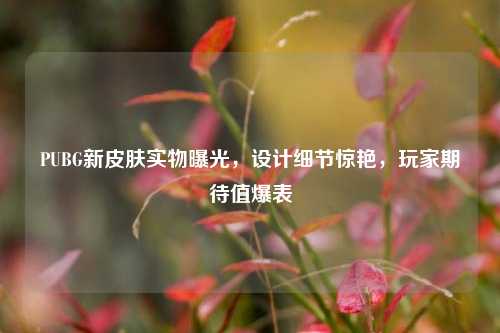 PUBG新皮肤实物曝光，设计细节惊艳，玩家期待值爆表