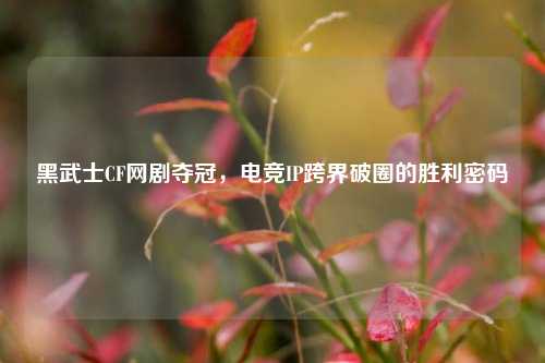 黑武士CF网剧夺冠，电竞IP跨界破圈的胜利密码