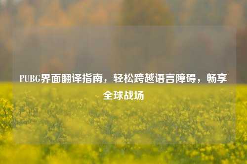 PUBG界面翻译指南，轻松跨越语言障碍，畅享全球战场