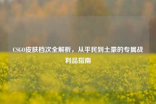 CSGO皮肤档次全解析，从平民到土豪的专属战利品指南