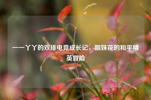 一一丫丫的双排电竞成长记，姐妹花的和平精英冒险