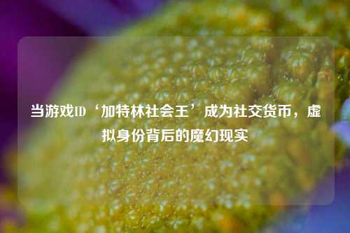 当游戏ID‘加特林社会王’成为社交货币，虚拟身份背后的魔幻现实