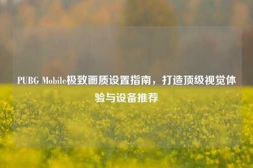 PUBG Mobile极致画质设置指南，打造顶级视觉体验与设备推荐