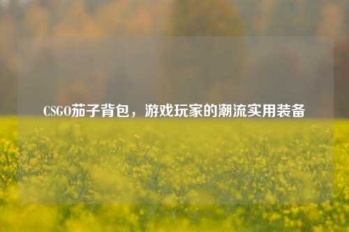 CSGO茄子背包,游戏玩家的潮流实用装备
