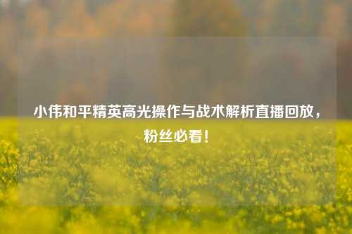 小伟和平精英高光操作与战术解析直播回放,粉丝必看!