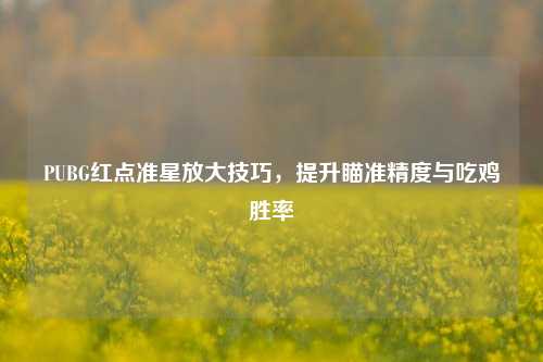 PUBG红点准星放大技巧，提升瞄准精度与吃鸡胜率