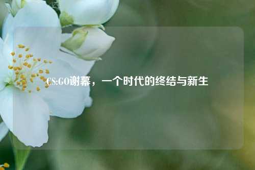 CS:GO谢幕，一个时代的终结与新生