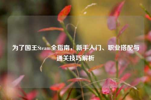 为了国王Steam全指南，新手入门、职业搭配与通关技巧解析