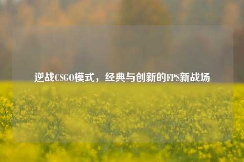 逆战CSGO模式,经典与创新的FPS新战场
