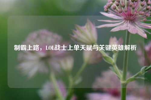制霸上路,LOL战士上单天赋与关键英雄解析