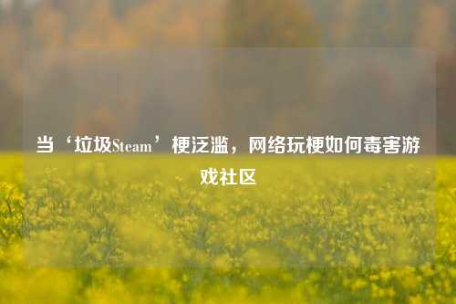 当‘垃圾Steam’梗泛滥,网络玩梗如何毒害游戏社区