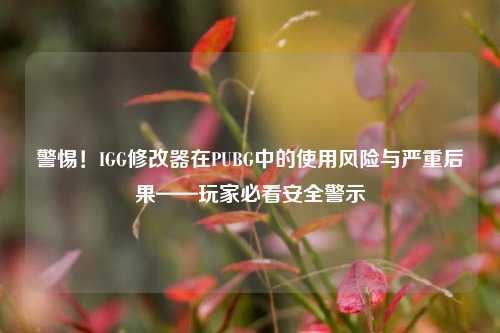 警惕!IGG修改器在PUBG中的使用风险与严重后果——玩家必看安全警示