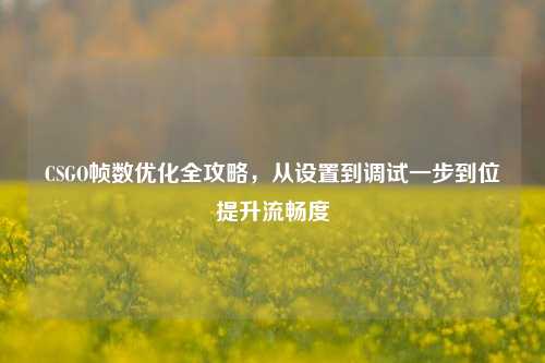 CSGO帧数优化全攻略，从设置到调试一步到位提升流畅度