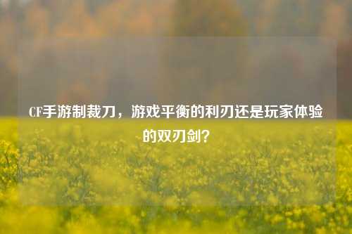 CF手游制裁刀,游戏平衡的利刃还是玩家体验的双刃剑?