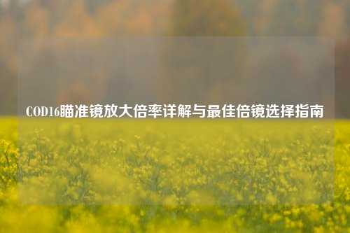 COD16瞄准镜放大倍率详解与最佳倍镜选择指南