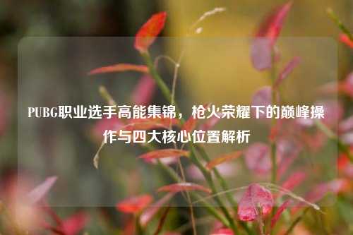 PUBG职业选手高能集锦，枪火荣耀下的巅峰操作与四大核心位置解析