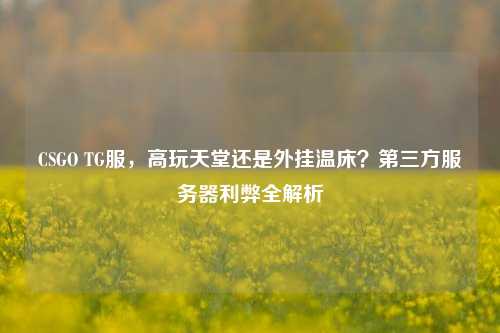 CSGO TG服,高玩天堂还是外挂温床?第三方服务器利弊全解析