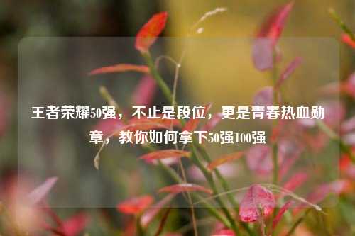 王者荣耀50强，不止是段位，更是青春热血勋章，教你如何拿下50强100强