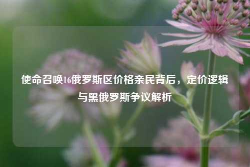 使命召唤16俄罗斯区价格亲民背后,定价逻辑与黑俄罗斯争议解析