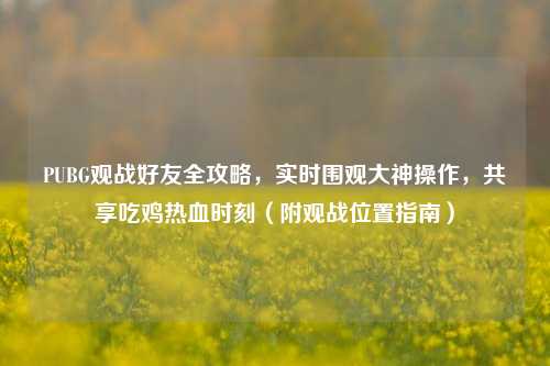 PUBG观战好友全攻略，实时围观大神操作，共享吃鸡热血时刻（附观战位置指南）