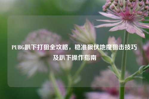 PUBG趴下打狙全攻略，稳准狠伏地魔狙击技巧及趴下操作指南