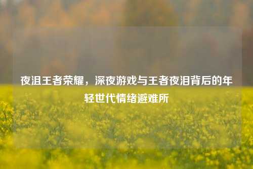 夜沮王者荣耀，深夜游戏与王者夜泪背后的年轻世代情绪避难所