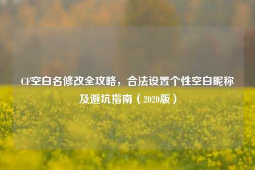 CF空白名修改全攻略,合法设置个性空白昵称及避坑指南(2020版)