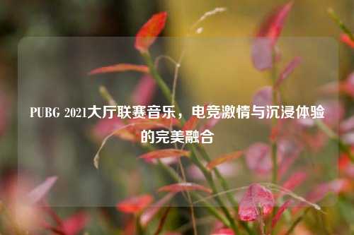 PUBG 2021大厅联赛音乐，电竞激情与沉浸体验的完美融合
