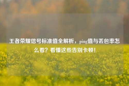 王者荣耀信号标准值全解析，ping值与丢包率怎么看？看懂这些告别卡顿！