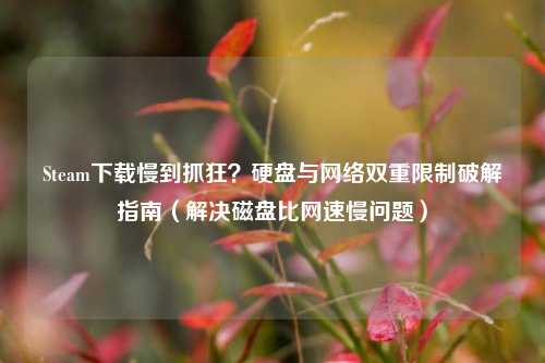 Steam下载慢到抓狂?硬盘与网络双重限制破解指南(解决磁盘比网速慢问题)