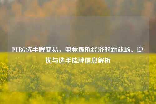 PUBG选手牌交易,电竞虚拟经济的新战场、隐忧与选手挂牌信息解析