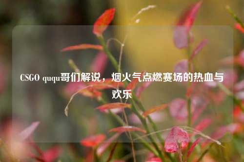 CSGO ququ哥们解说,烟火气点燃赛场的热血与欢乐