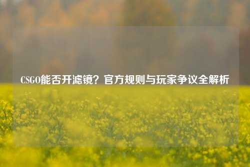 CSGO能否开滤镜？官方规则与玩家争议全解析