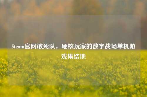 Steam官网敢死队，硬核玩家的数字战场单机游戏集结地