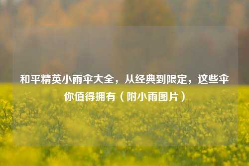 和平精英小雨伞大全，从经典到限定，这些伞你值得拥有（附小雨图片）