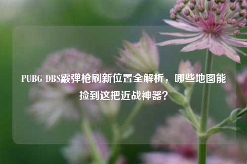 PUBG DBS霰弹枪刷新位置全解析,哪些地图能捡到这把近战神器?