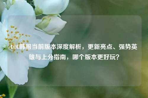 LOL韩服当前版本深度解析,更新亮点、强势英雄与上分指南,哪个版本更好玩?