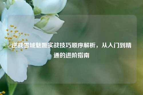 逆战雪域魅姬实战技巧顺序解析，从入门到精通的进阶指南