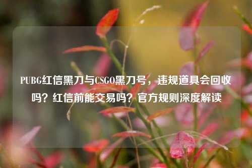 PUBG红信黑刀与CSGO黑刀号，违规道具会回收吗？红信前能交易吗？官方规则深度解读