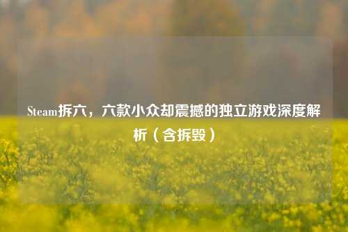 Steam拆六，六款小众却震撼的独立游戏深度解析（含拆毁）